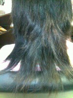 /album/fotogalerie/pred-jpg/