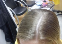 /album/fotogalerie/dsc-0212-jpg/