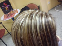 /album/fotogalerie/dsc-0218-jpg/